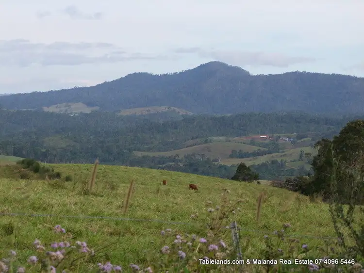 Fifth view of Homely land listing, LOT L386/Lot 10 Innisfail Road, Millaa Millaa QLD 4886