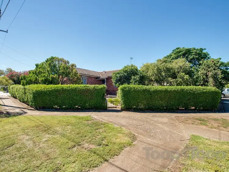 Main view of Homely house listing, 11 Walton Avenue, Clearview SA 5085