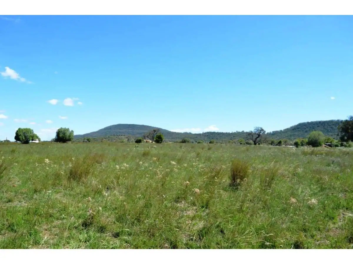 Main view of Homely rural property listing, 8299 Oxley Highway, Gunnedah NSW 2380