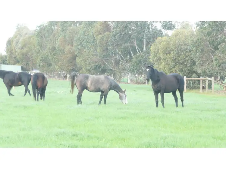 Third view of Homely rural property listing, 130 Thompsons Road, Tallygaroopna VIC 3634
