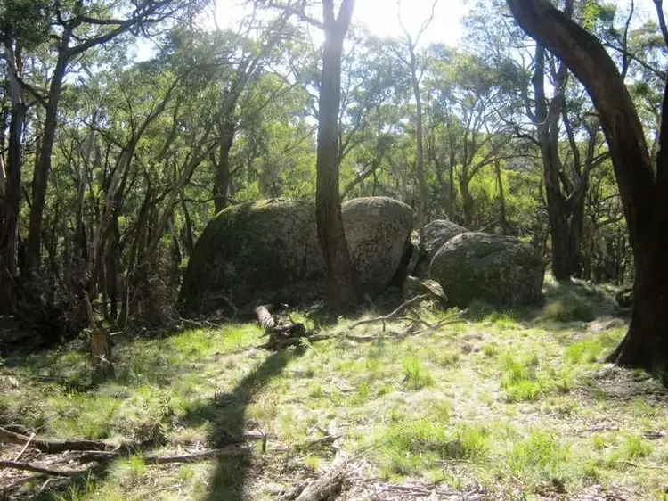Fifth view of Homely rural property listing, 434 Bourke & Wills Track, Lancefield VIC 3435
