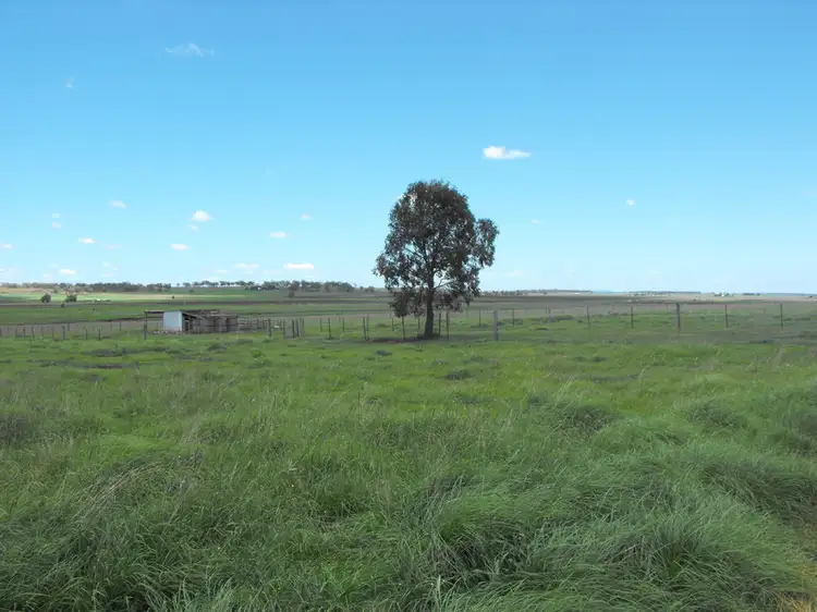 Fifth view of Homely rural property listing, 588 Spring Creek Road, Spring Creek QLD 4361