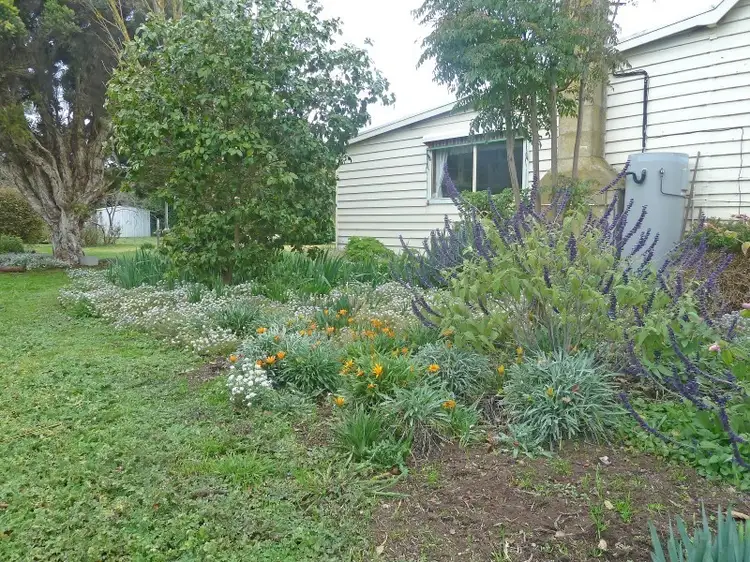 Seventh view of Homely house listing, 586 Lake Corangamite Road, Cororooke VIC 3254