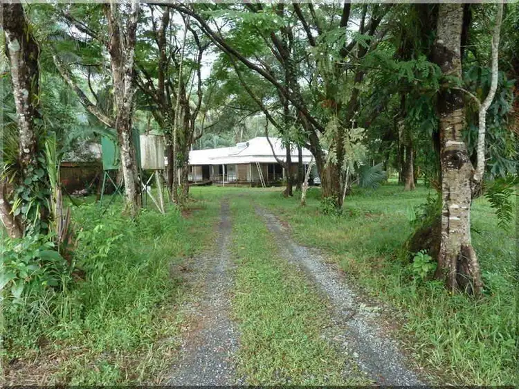 123 Thornton Peak Drive, Daintree QLD 4873