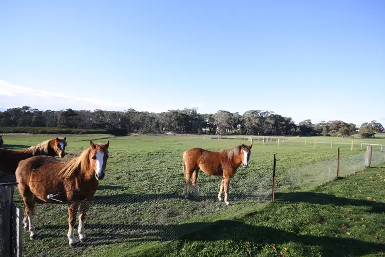 Third view of Homely rural property listing, 42 McLachans Road, Haddon VIC 3351
