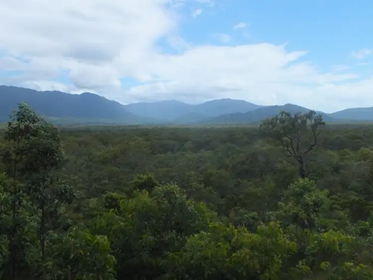 Main view of Homely land listing, Lot 1 Dowling Road, Bloomfield QLD 4895