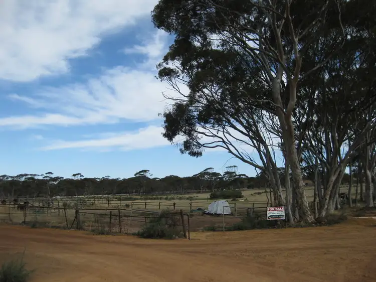 LOT 119, 120, 121 Counsel Street, Cunderdin WA 6407