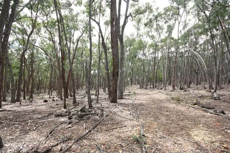 Seventh view of Homely land listing, 379 Lloyds Lane, Napoleons VIC 3352