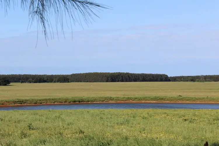 Main view of Homely rural property listing, Friends Road, Myamyn VIC 3304