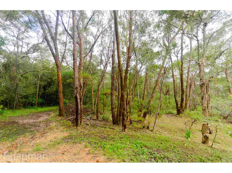 Fourth view of Homely land listing, 40A Mount View Avenue, Hazelbrook NSW 2779