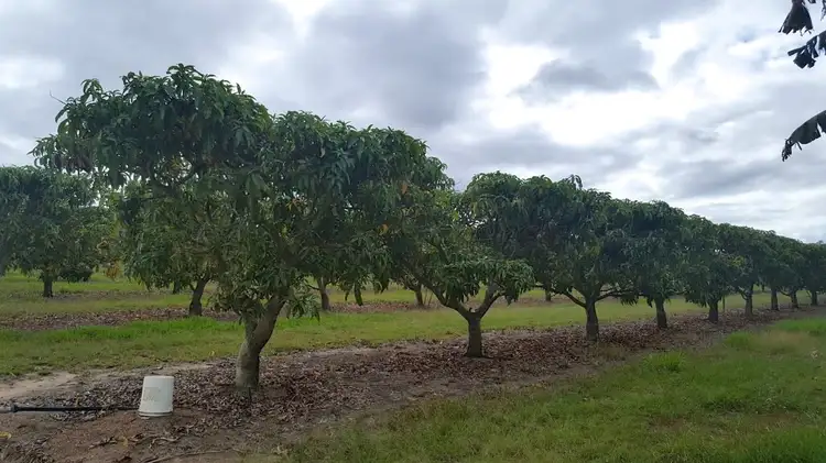 Second view of Homely rural property listing, 118 McMillan Road, Mareeba QLD 4880