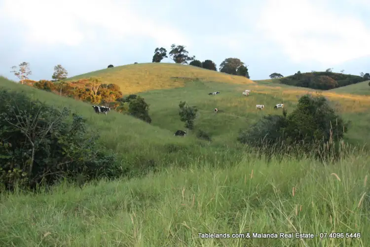 Seventh view of Homely rural property listing, F753  164 Petersen Road, Tarzali QLD 4885