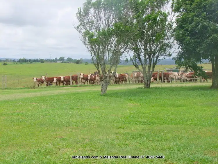 Seventh view of Homely rural property listing, F272/RN571 Merragallan Road, Malanda QLD 4885