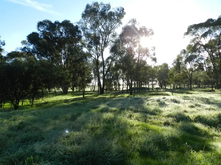 Fourth view of Homely rural property listing, Lot 3/1939 Walshs Bridge Rd, Numurkah VIC 3636