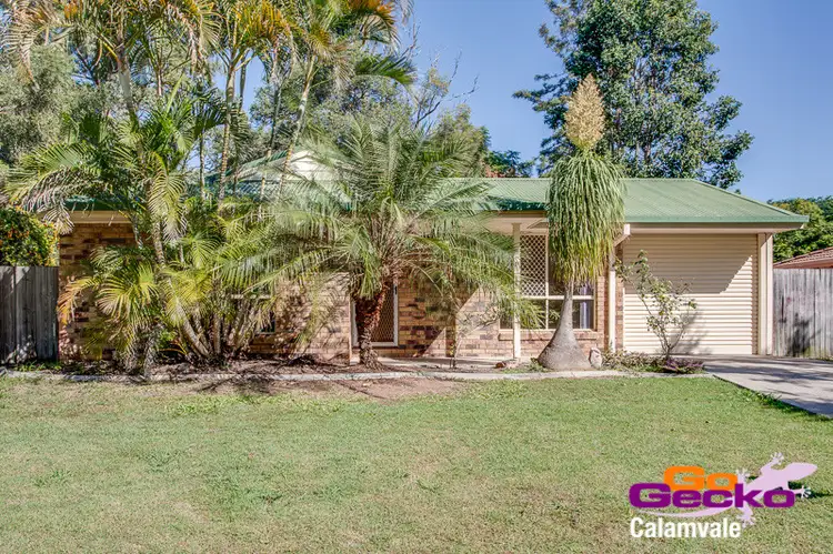13 Packett Crescent, Loganlea QLD 4131
