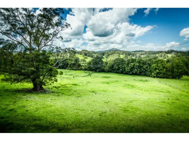 Second view of Homely rural property listing, 92 Hains Lane, Bellingen NSW 2454