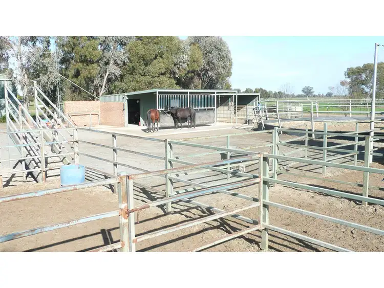 Fourth view of Homely rural property listing, 130 Thompsons Road, Tallygaroopna VIC 3634