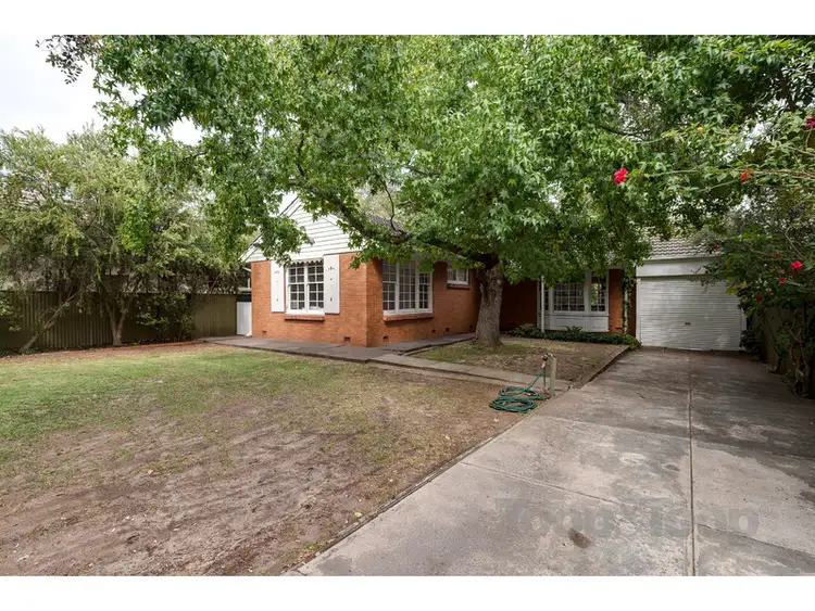 Second view of Homely house listing, 103 Allinga Avenue, Glenunga SA 5064