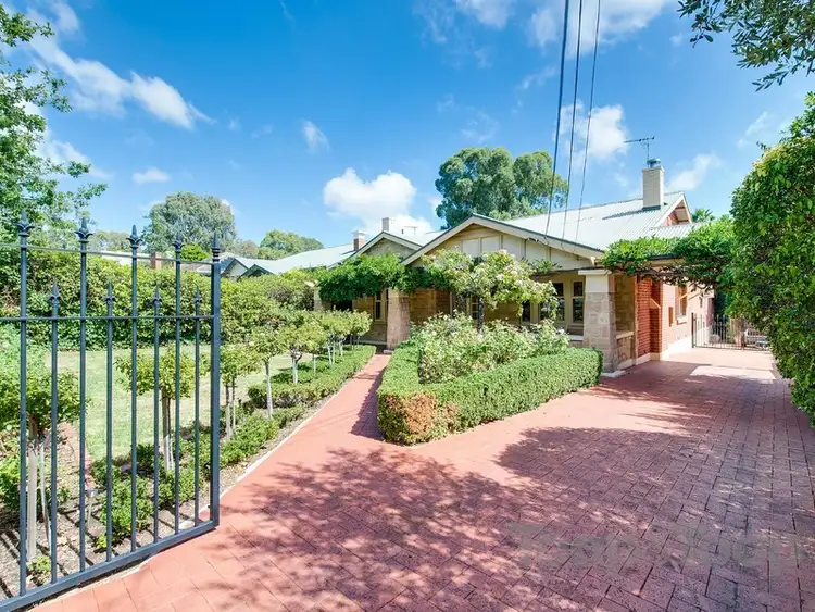 43 Brigalow Avenue, Kensington Gardens SA 5068