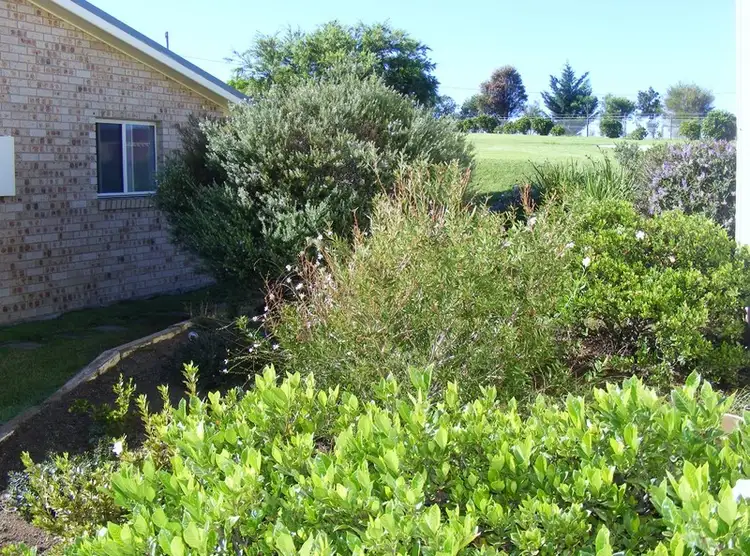 Third view of Homely house listing, 385 Towridgee Lane, Candelo NSW 2550