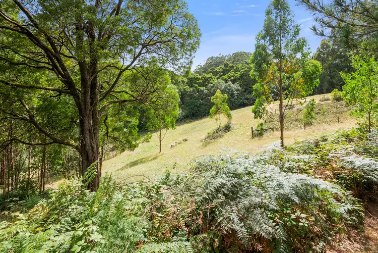 Main view of Homely rural property listing, 4 College Drive, Lavers Hill VIC 3238