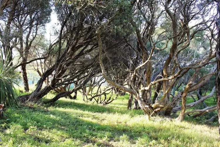 97 Glenvue Road, Rye VIC 3941