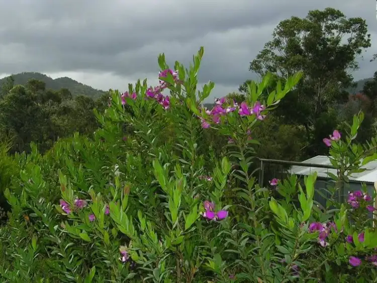 Fifth view of Homely house listing, 2602 Mansfield - Woodspoint Road, Howqua Inlet VIC 3723