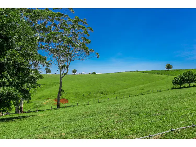 Third view of Homely rural property listing, 236 Koonorigan Road, Koonorigan NSW 2480