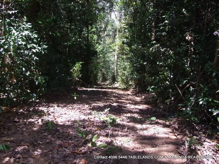 Fourth view of Homely rural property listing, LS1100 Lot 214 Kelly Road, Ellinjaa QLD 4886