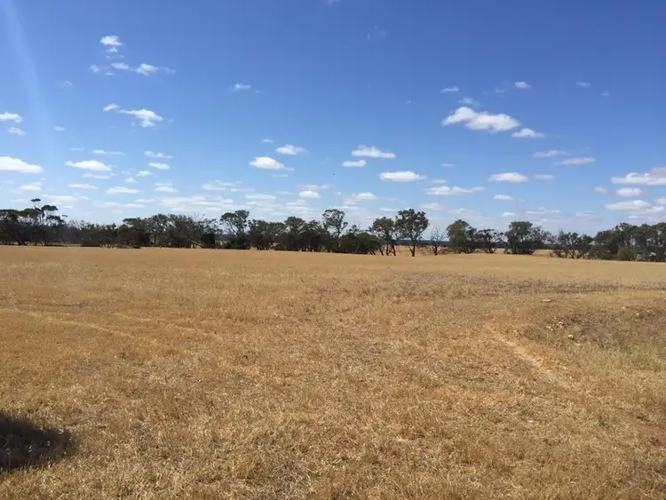Seventh view of Homely rural property listing, Address available on request