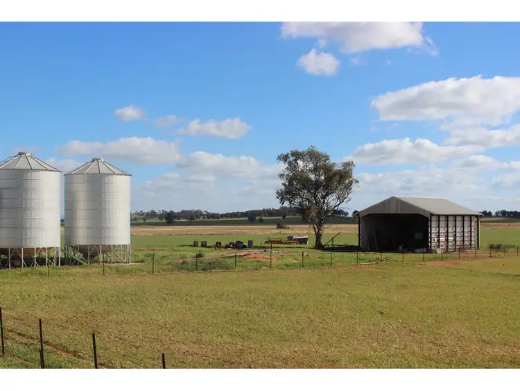 Sixth view of Homely rural property listing, 459 Hoopers Road, Forbes NSW 2871