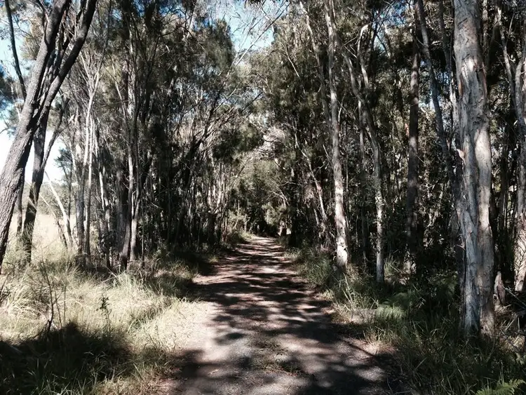 Sixth view of Homely land listing, 25 Lister La, Cootharaba QLD 4565