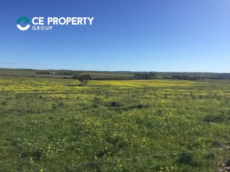 Main view of Homely rural property listing, 57, LOT 57 Caloote Road, Caloote SA 5254