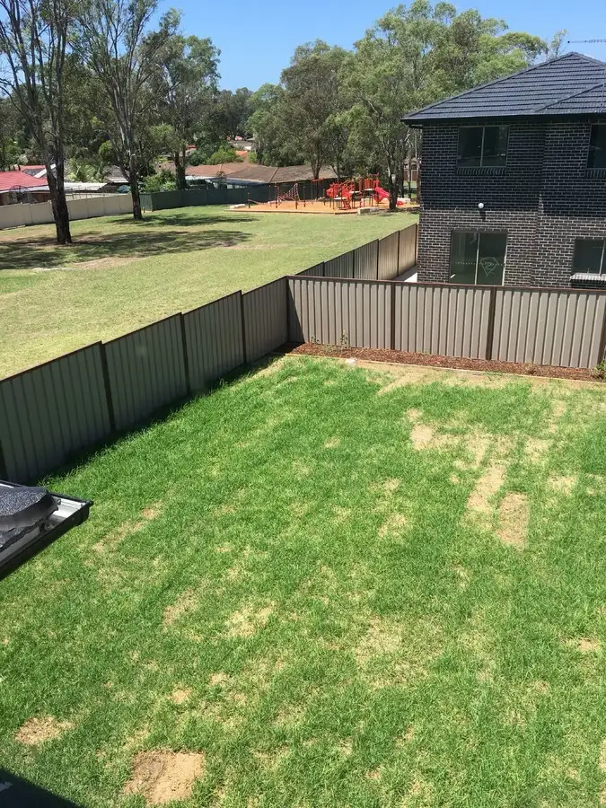 Fifth view of Homely house listing, 25 Hyacinth Avenue, Macquarie Fields NSW 2564