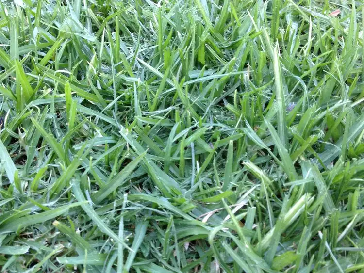 LOT 653 Asteria Crescent, Cranbourne West VIC 3977