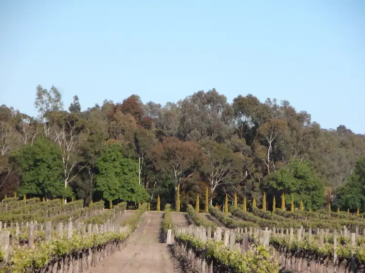 Third view of Homely land listing, 4 Blewitt Springs Road, Mclaren Flat SA 5171