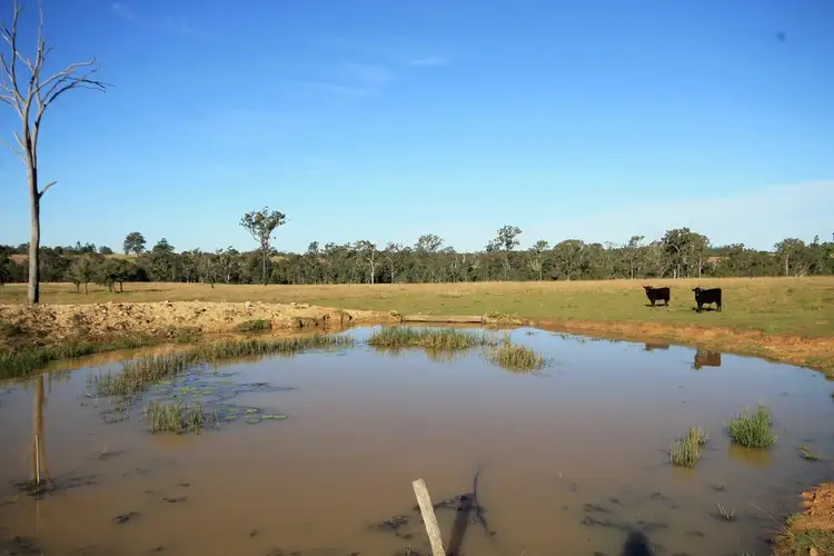 Fifth view of Homely rural property listing, 969 Old Glen Innes Road, Chambigne NSW 2460