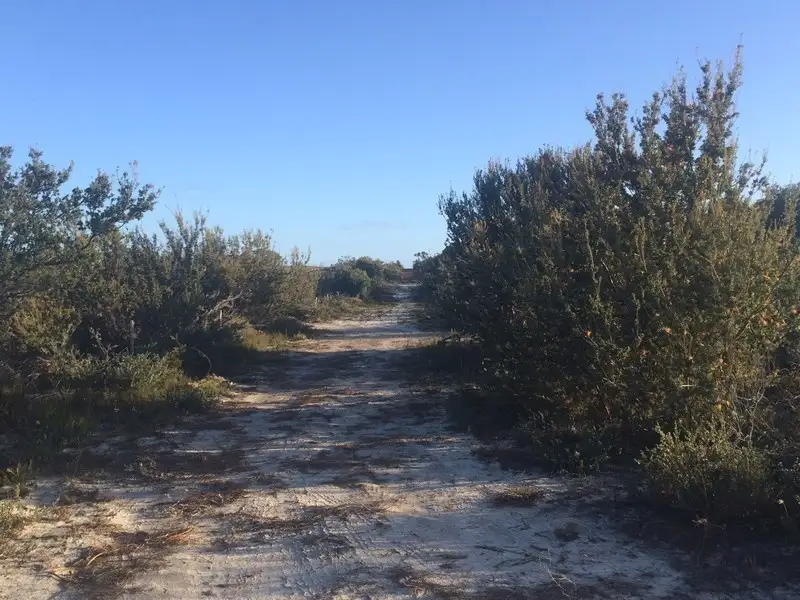 Main view of Homely land listing, 5 Whale Bay Drive, Hopetoun WA 6348