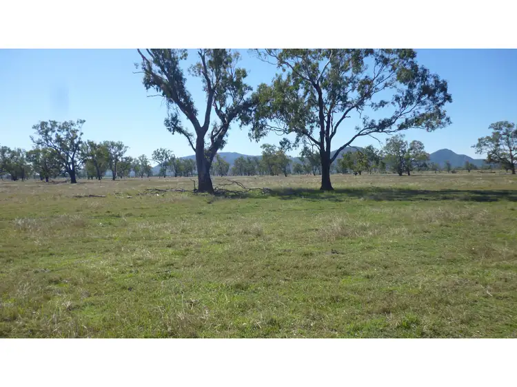 Second view of Homely rural property listing, 169, LOT 169 Port Curtis Road, Port Curtis QLD 4700
