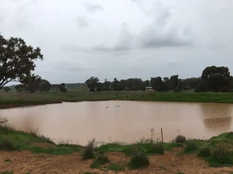 Third view of Homely rural property listing, 199 Quia Station Road, Emerald Hill NSW 2380