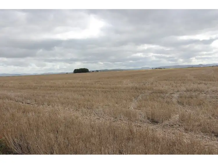 Fifth view of Homely rural property listing, L233 Clifton-Kings Creek Road, Clifton QLD 4361