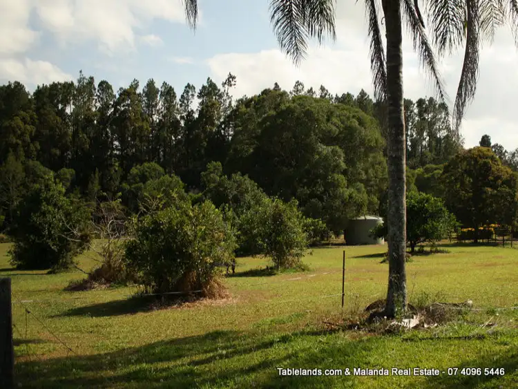 Second view of Homely land listing, LOT L668/Lot 31, 169 Lakes Drive, Lake Eacham QLD 4884