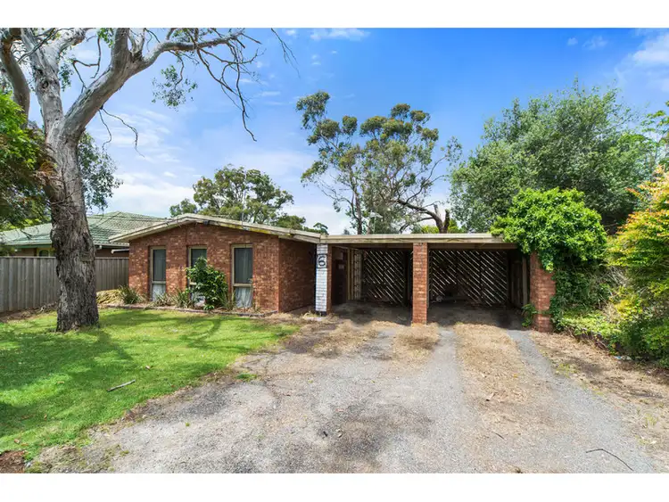 Main view of Homely house listing, 6 Beech Street, Langwarrin VIC 3910