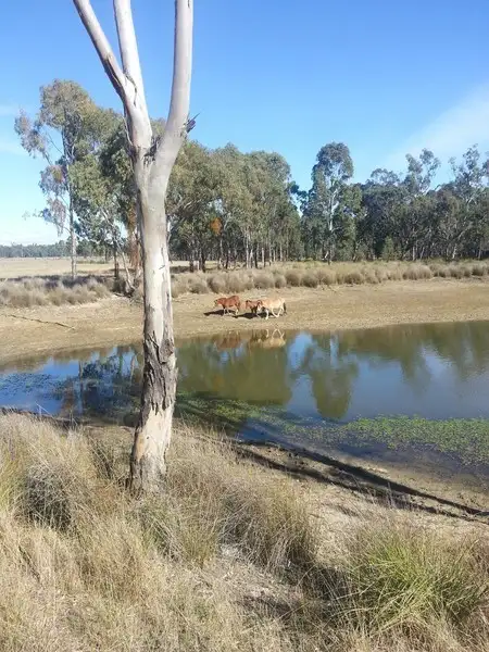 LOT 2, 446 Bonnie Doon Road, Leyburn QLD 4365