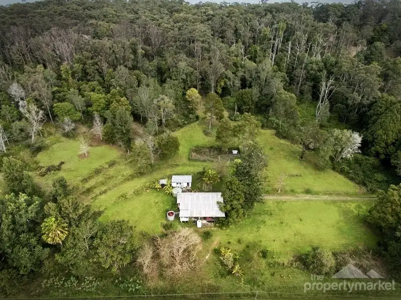 Main view of Homely rural property listing, 81 Peach Orchard Road, Ourimbah NSW 2258