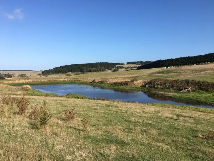 Fifth view of Homely rural property listing, 329 Eastern Creek Road, Port Campbell VIC 3269