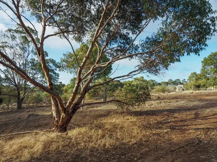 LOT 58 Richardson Road, Port Lincoln SA 5606