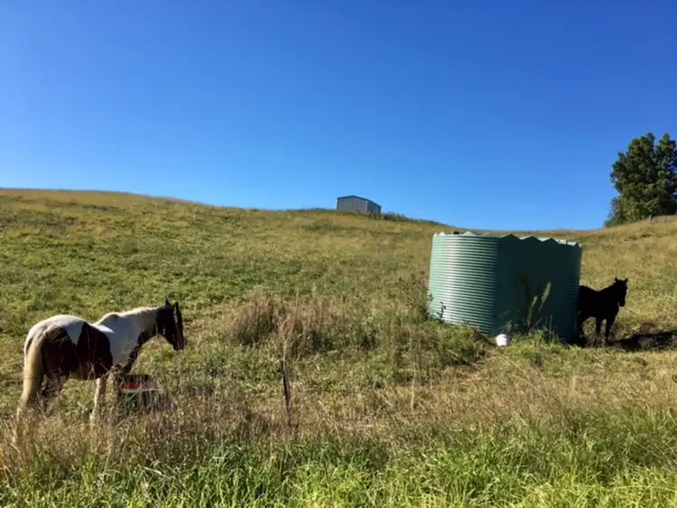 Second view of Homely land listing, 2004 Myrtle Mountain Road, Candelo NSW 2550