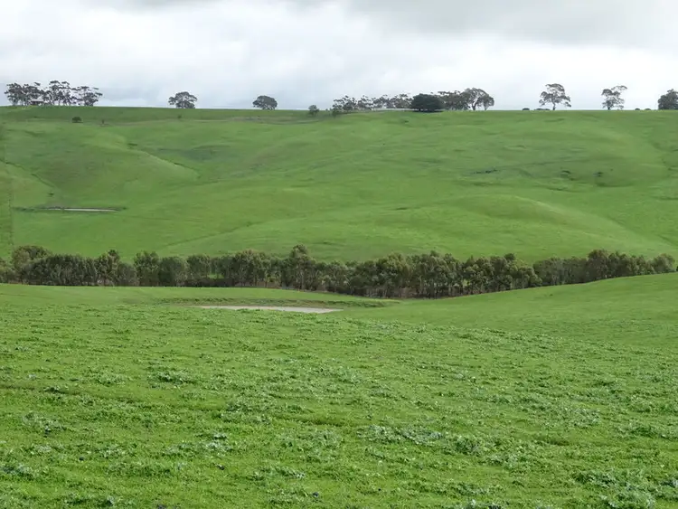 Second view of Homely rural property listing, Upper Hilgay Road, Coleraine VIC 3315