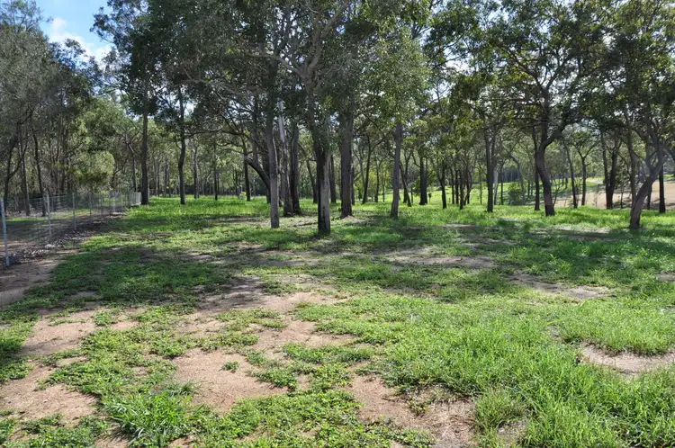 Sixth view of Homely rural property listing, 462 Koah Road, Koah QLD 4881